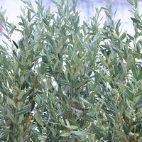 Arbre d'olivier artificiel ignifuge sur mesure, grand faux olivier pour salle à manger ou restaurant, décoration intérieure de Pâques