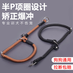 Collier pour chien P-Rope, collier d'entraînement antidérapant pour chiens de petite, moyenne et grande taille, toutes saisons, style monochrome simple - Product Image 3