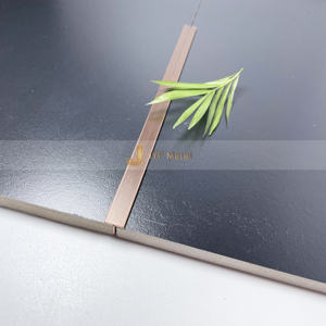 EX149 Perfiles Decorativos en Forma de T de Acero Inoxidable en Oferta, Perfil de Acero Inoxidable, Moldura de Metal y Latón para Bordes de Azulejos y Esquinas de Pared - Product Image 3