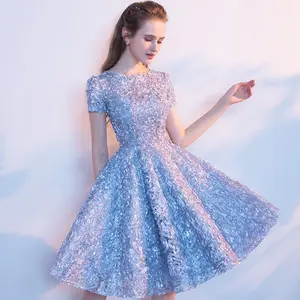 Short Sleeve Round Neck Autumn 3D Fancy Embroidered Slim Skater Party Dress