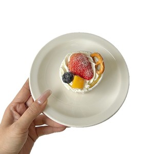 Lo stesso piatto in ceramica bianca utilizzato dall'influencer coreana Ondo, adatto per dolci, insalate, bistecche. - Product Image 1