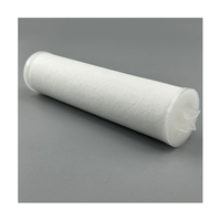 Produits populaires : Élément filtrant de type rouleau de 10 pouces, 50 µm/100 µm, longue durée de vie, avec une énorme réduction