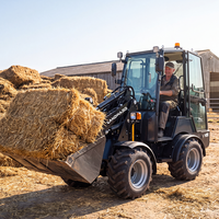 Caricatore Agricolo Europeo W1190 1980KG, Mini Caricatore a Ruote con Motore KUBOTA