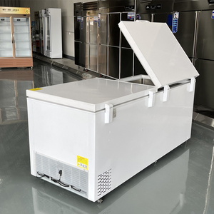 2023 phổ biến nhất bán Phong Cách Thương mại hai cửa không gian lớn thực phẩm lưu trữ tủ đông - Product Image 5