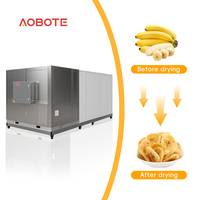 Automatische hetelucht droger voor voedselverwerking, warmtepompdroger voor het drogen van bananen, lychees en ananas