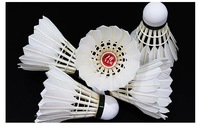 Volant de Badminton RSL DTL-81 Original, en Plumes, Durable, de Haute Qualité pour l'Entraînement, les Tournois et les Clubs de Badminton