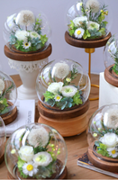 Konservierte Rose in Glaskuppel mit Holzsockel, Löwenzahn Schleierkraut Ewige Blumen, Romantische Heimdekoration Geburtstagsgeschenk