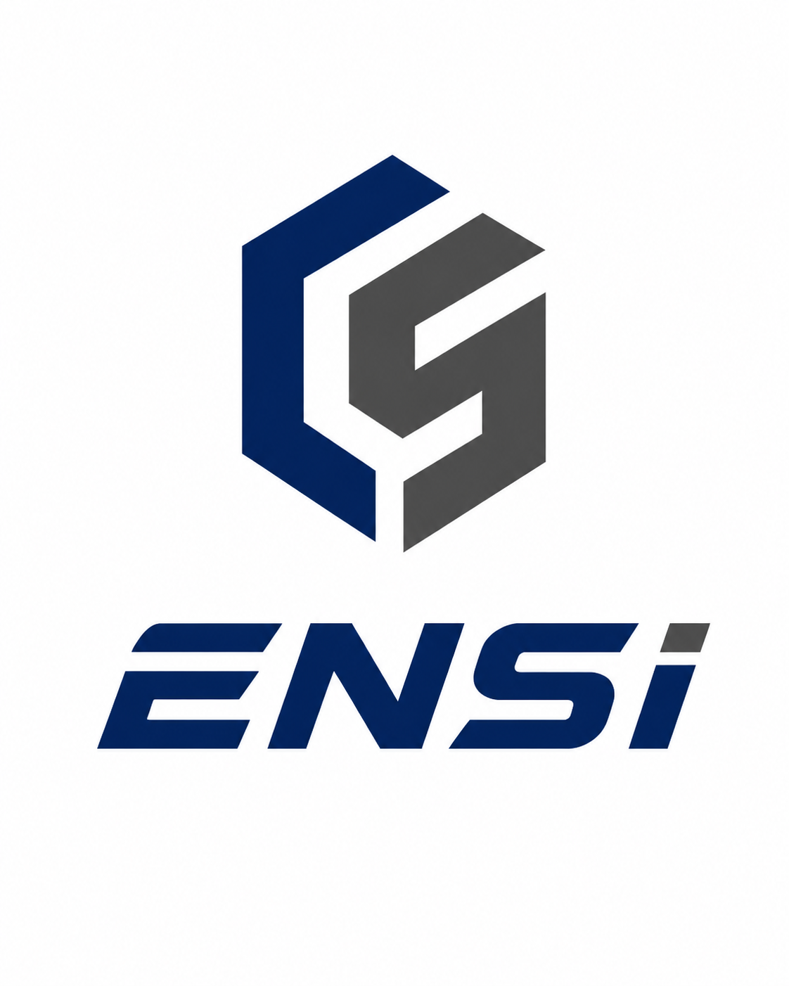 Dongguan Ensi Hardware Technology Co., Ltd.