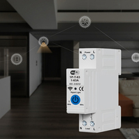 Disjoncteur WiFi en gros du fabricant Télécommande sans fil Commutateur intelligent 1P + N Disjoncteur WiFi Tuya T