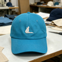 Op maat gemaakte 6-delige ongestructureerde pet voor vaders, 100% katoen, baseballcap, aangepaste borduurlogo, zachte gebogen klep, vintage sport petten voor vaders