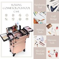 Valise de maquillage professionnelle 3 en 1 sur roulettes, valise trolley en aluminium avec roulettes à 360° °   Organisateur de cosmétiques sur roulettes avec serrure et clé