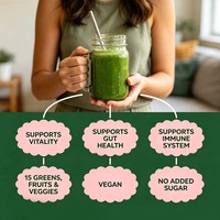 Poudre Super Verte de Qualité Supérieure pour le Soutien du Système Immunitaire, la Vitalité Quotidienne, la Promotion de la Digestion – Supplément Nutritionnel Super Alimentaire