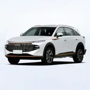 Haval 신성한 짐승 2023 1.5t 스마트 에디션 dht 하이브리드 컴팩트 Suv 만리장성 자동 전기 자동차