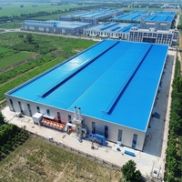 Bâtiment en structure métallique pour entrepôt industriel, atelier et construction d'usine, structure préfabriquée sur mesure
