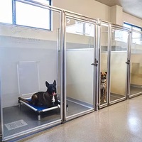 Nieuwe Wandeling In Hondenkennel Grote Openlucht Boarding Kennels Zware Hondenrennen Dierenasiel
