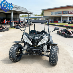 Go Kart LNA de 2 Plazas y 4 Tiempos, 150cc, Fácil de Mantener para Flotas de Alquiler - Product Image 1