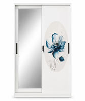 Meubles de chambre à coucher contemporains, armoire en acier à 2 portes, porte coulissante avec miroirs et motifs imprimés, vente directe d'usine