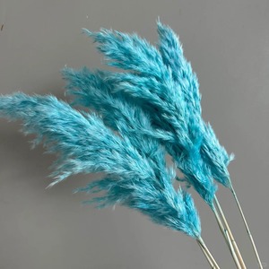 Herbe <span class=keywords><strong>de</strong></span> la <span class=keywords><strong>Pampa</strong></span> séchée, mini roseaux naturels teintés, fleurs séchées pour la décoration bohème <span class=keywords><strong>de</strong></span> la maison - Product Image 4