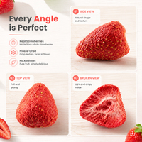 Fraises entières lyophilisées en vrac OEM, croustillantes, naturelles, acidulées, collation saine sans sucre ajouté, emballage sous vide, fruits 10kg