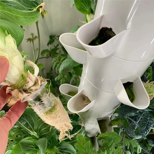 Hot Selling Hydroponics System Irrigation Hydroponics Equipment Hydroponics for Farm - Product Image 5