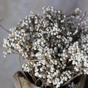 ดอกไม้แห้งธรรมชาติผลเบอร์รี่ Excoecaria แจกันฟิลเลอร์ดอกไม้โต๊ะรับประทานอาหารกลางตกแต่งแปะก๊วยขนาดเล็ก - Product Image 3