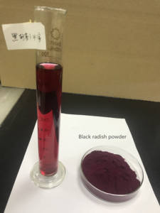 Black <strong>carrot</strong> juice <strong>powder</strong> root natural pigment purple <strong>carrot</strong> <strong>red</strong> <strong>powder</strong> Pincredit concentrate for food dietary supplements and beverages - Product Image 2
