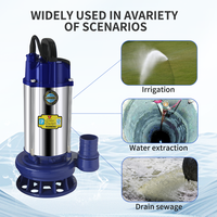 Petite Pompe à Eau Submersible Portable Haute Pression pour Puits Profond avec Moteur Protégé