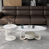 Table basse en pierre microcristalline avec cadre métallique, style luxe moderne, espace de rangement, design incurvé pour petit appartement