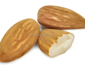 Amandes lyophilisées croustillantes en gros d'usine, sans sucre, sans additifs, pour boulangerie, céréales, collations, OEM, marque privée - Product Image 2