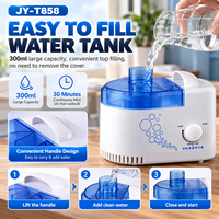 Machine à brouillard désinfectant populaire 300ML, pulvérisateur ultrasonique de stérilisation, humidificateur d'air grande capacité pour maison, hôtel, bureau, voiture