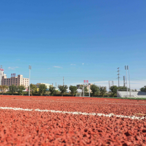 พื้นลู่วิ่งสำหรับเล่นกีฬาวิ่งวิ่งกึ่งสำเร็จรูปประสิทธิภาพในระยะยาว UV ผ่านการรับรองจาก Inolp - Product Image 1