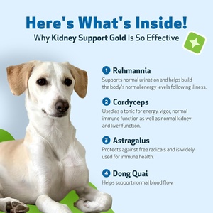 Gotas Líquidas de Apoyo Renal OEM/ODM para Mascotas - Favorecen la Micción Regular - Suplementos para la Salud Renal - Tratamiento para los Riñones - Product Image 4