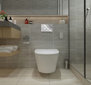 Sang trọng HDPE nhựa kép Flush Hidden Phễu thoát nước nhà vệ sinh giấu Phễu thoát nước với nhà vệ sinh sang trọng - Product Image 3