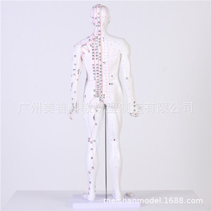 Mannequin anatomique d'acupuncture avec gravures artisanales, modèle de points d'acupuncture humains, 85CM - Product Image 2