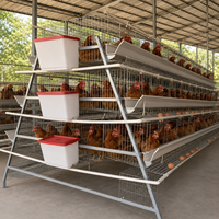 Équipement d'élevage avicole : Cage à batterie de type A pour poulets de ponte ou de chair, idéal pour l'élevage de volailles en ferme, modèle A