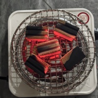 Geïmporteerde Premium Kokosnootschalenbriketten 35mm Schijfvorm Natuurlijke Shisha Houtskool Geurloos Smaakloos Langzaam Brandend