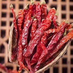 Chile Rojo Seco Entero de Guizhou/Sichuan, Producto de Granja Agrícola, Súper Picante, Tipo Bala - Product Image 3