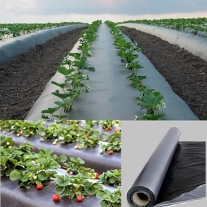 Film de paillage en PE biodégradable pour l'agriculture, couverture réfléchissante pour le <span class=keywords><strong>sol</strong></span>, contrôle des adventices, dimensions personnalisables, soufflé - Product Image 2