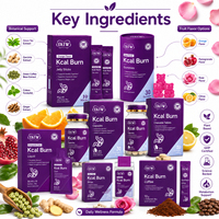 OKTW Kcal Burn Complément Alimentaire pour la Gestion du Poids OEM ODM Marque Privée Capsules Gummies Bandes Comprimés à Croquer Bâtonnets de Gelée