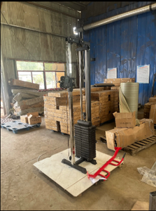 Macchina Cavi Crossover per Allenamento Corpo Trazioni <span class=keywords><strong>Lat</strong></span> <span class=keywords><strong>Machine</strong></span> Bicipiti Tricipiti Vogatore Trainer Torre a Puleggia Alta Montata a <span class=keywords><strong>Parete</strong></span> con Carico a Dischi - Product Image 3