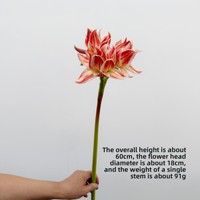 Kunstmatige amaryllisbloemen, EVA Clivia met een realistisch gevoel, boeketten voor bloemendesign, model voor kamervoorbereiding, fotografie-accessoires
