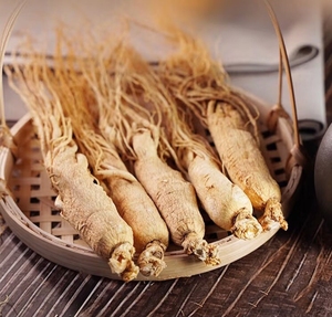 Giá bán buôn kianpi Hàn Quốc Nhân Sâm gốc và lát Chất lượng cao nhà máy chiết xuất - Product Image 1