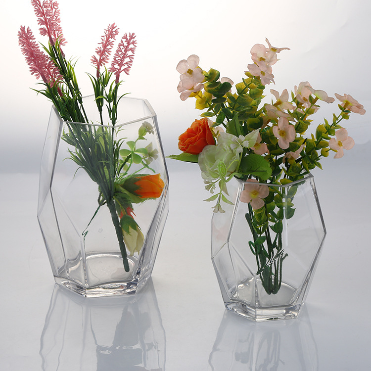 Creative Clear Hexagon Glass Flower Vase for Home Decor | Modern