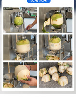 Machine automatique de décorticage, découpe et épluchage de noix de coco / Éplucheuse de noix de coco vertes fraîches