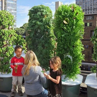 Agriculture verticale aéroponique, culture hydroponique en tour verticale pour les légumes-feuilles