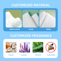 Lingettes nettoyantes pour les yeux des animaux de compagnie, lingettes anti-taches de larmes, marque privée, pour chiens, contre les crasses, les excréments, le mucus et les débris