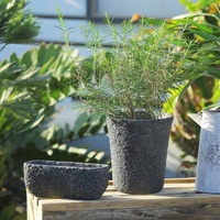 Pot de fleurs carré en béton 11x11x11,5 cm gris foncé, jardinière minimaliste d'intérieur avec capacité de 15 L pour la maison et le jardin