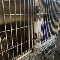 Cage pour chien de taille moyenne et grande Cage à oxygène à température constante pour hôpital d'animal domestique Bouton solide en acier inoxydable pour chat et chien épaissi