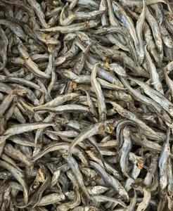 מכירת חיסול! חטיפי קפלין מיובשים בהקפאה, עשירים בחלבון, לבריאות מערכת העיכול, מזון יבש לחתולים וכלבים - Product Image 1