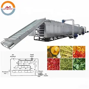 Automatische Transportband Mesh Riem Drogen Uitdroging Machine Voedsel Continu Tunnel Dehydrator Droger Industriële Dehydrateren Apparatuur